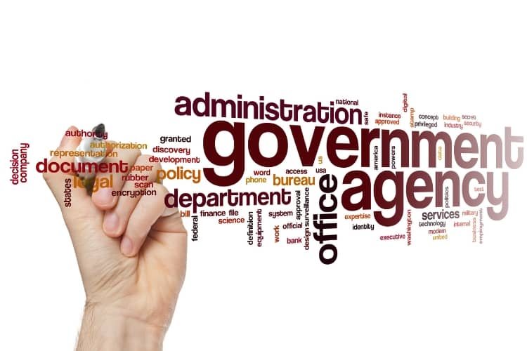 Capacity Building and Consultancy Services